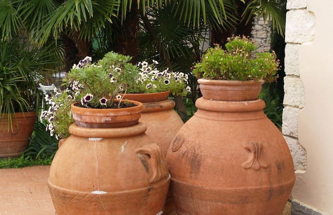 Agriturismo Poggio alla Pieve - Photo 58