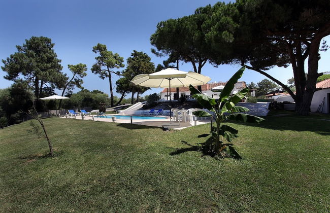 Farm on the Beach sea View 2 Steps From Lisbon - Foto 1