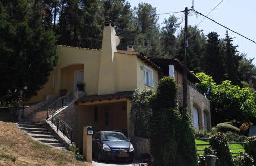 Six Steps From The Forest - Photo 6