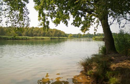 Hospoda-Ferienhaus am Olba-See - Foto 17