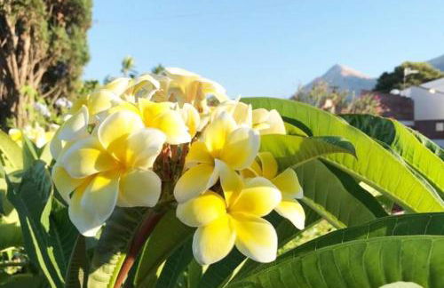 CASA CAVORA - Villa Petunie - Foto 8