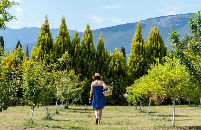 Penelope Villas - Foto 40