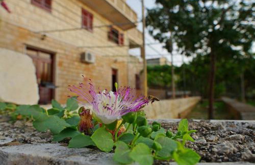 Large and charming apartment near beach with big & sunny terrace - Photo 46