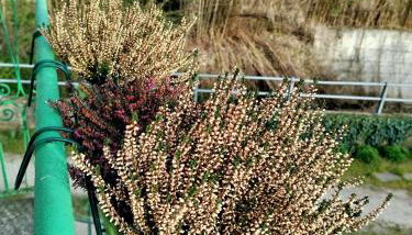 Casa di Bimba - Foto 3