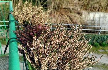 Casa di Bimba - Foto 3