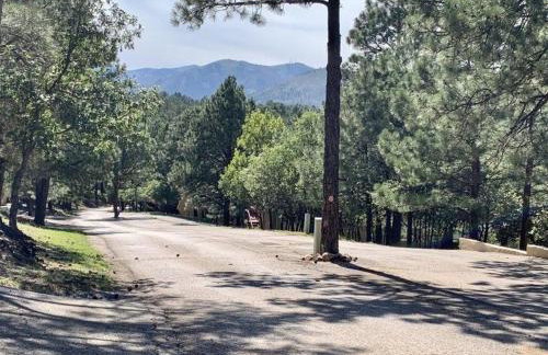 Casita Escondida - Photo 28