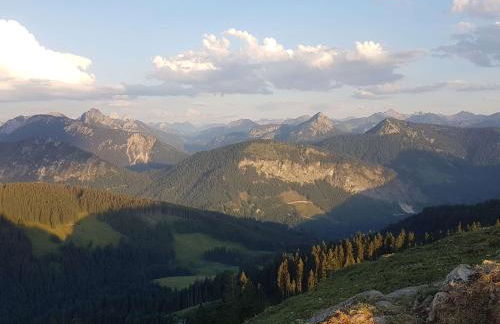 4-Sterne Tiny House & erholsame Ruhe und ganz viel Natur im Oberallgäu - Photo 15