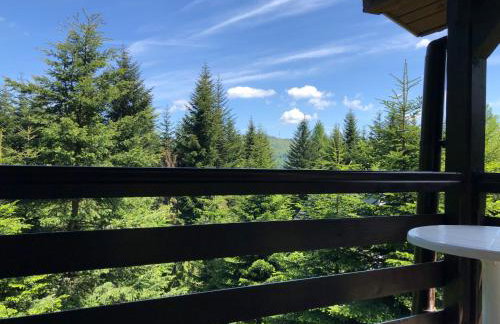 Mountain Cottage Lubomierz - Foto 10