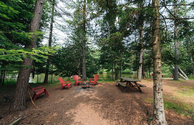 Uncle Tom's 3BDR Cabin For Nature Lover - Foto 80