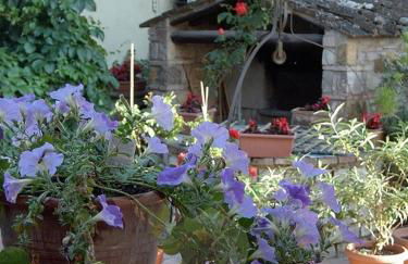 Residence Casprini da Omero - Foto 30