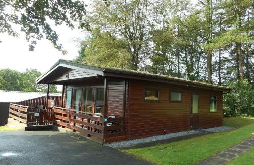 Birch Lodge 13 with Hot Tub - Foto 39