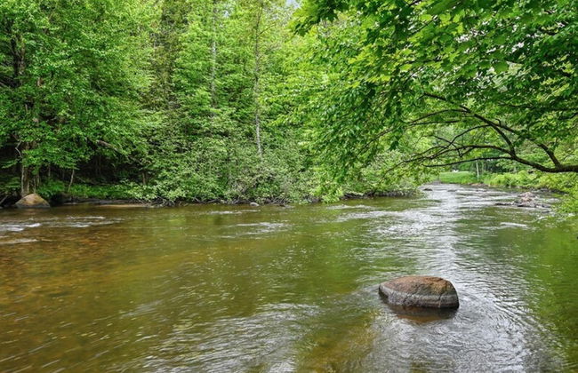 Riverside Retreat -breathtaking View Kayak ATV - Foto 11