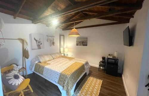 Private Studio Cabin steps from Calle 8 - Foto 73