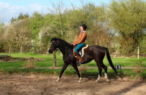 Hof Esterau - Appartment blau-grün - Foto 16