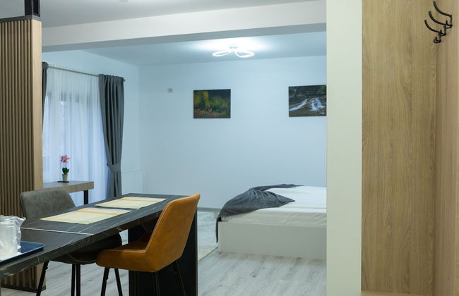 Frasin Studios-6 km to Voronet Monastery - Foto 16