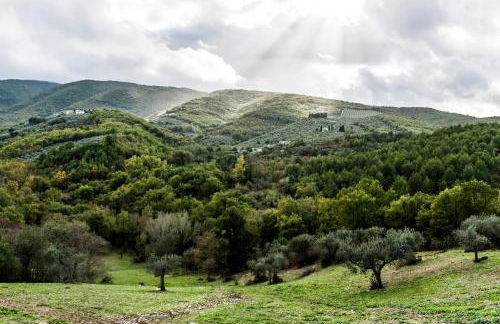 Tenuta San Felice - Foto 34