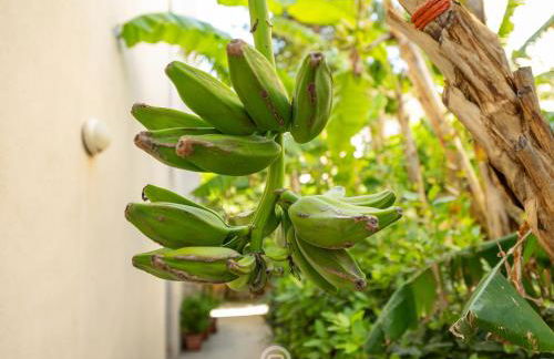 Monteverdi Apartments - Studio 1 - Foto 18