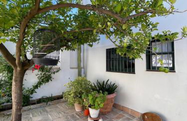 Finca Olivo Llorón - Foto 31