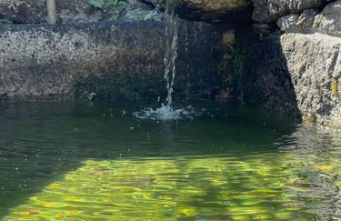 Quinta do Fontão - Casa com piscina - Foto 54