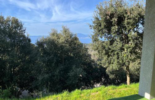 RANDOS à 15 mn de la plage COTI CHIAVARI Vue exceptionnelle Appart indépendant 3 ch - Photo 11