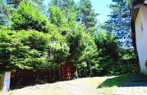 Radawa domek - Foto 14