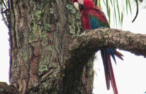 Estância Canaã Atibaia - Foto 15