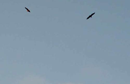 Casa Rural con encanto en Las Arribes "Abuelo Román" - Foto 20