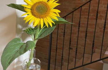 Agriturismo Ravaglia Grande - Photo 30