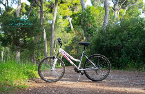 Diamante Beachfront Suites - Foto 10