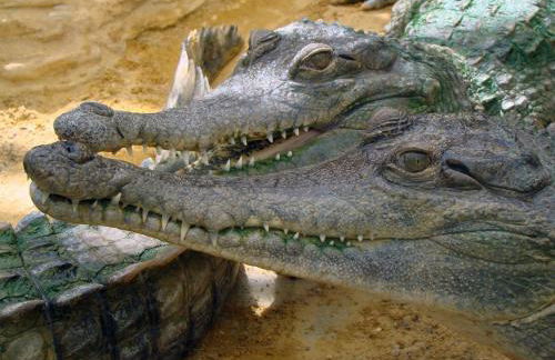 Maison Les Chênes - Jacuzzi - Calme & Idéalement situé - Clim - Salle de Jeux - Parking - Foto 41