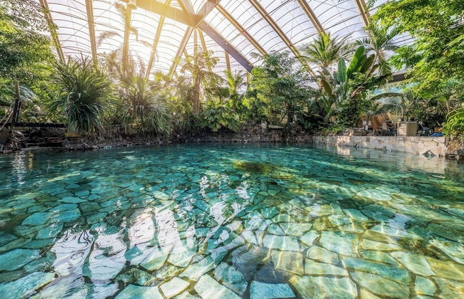 Center Parcs Erperheide - Photo 68