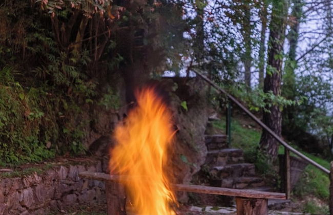 Alaya Stays Suro Woodbine Chalet Cottage - Foto 63