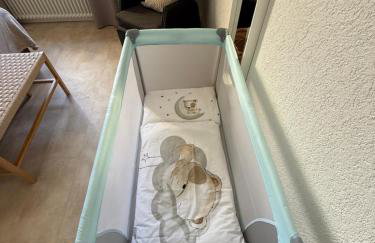 120 qm Penthouse, Europa Park - Rulantica - Straßburg - Colmar - Schwarzwald, bis 11 Personen - Foto 13