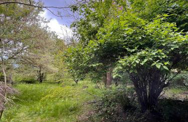 Relaks w boberkach Prywatna sala do Bilarda - Foto 49