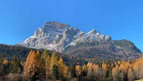 Petit Chalet - Foto 4