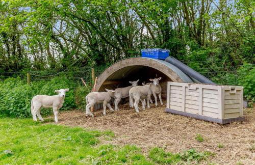 3 Bed in Fowey oc-55382 - Foto 27