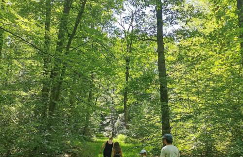 Villa spacieuse près de Senonches avec piscine privée - Foto 26