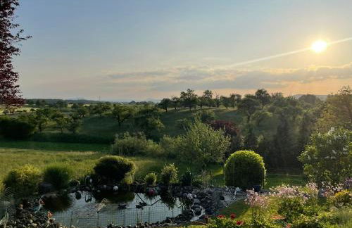 Hegaublick - Photo 15