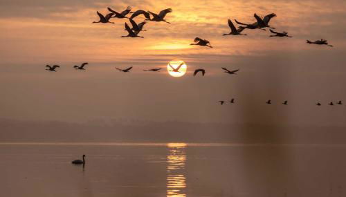 Luxus Loft am Müritzufer - Foto 2