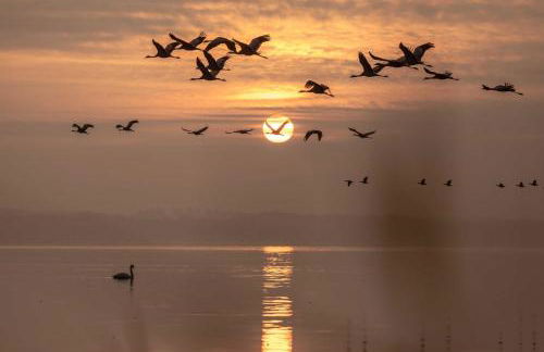 Luxus Loft am Müritzufer - Foto 2