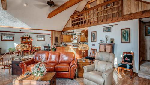 The Bird House - Foto 4