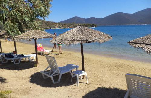 Little Bit Of Heaven - Photo 19