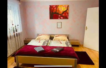 Fun Franz for 6 Persons - Foto 50