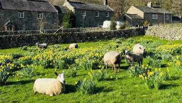 Fox Cottage - Cosy Stay on Pateley High Street - Foto 3