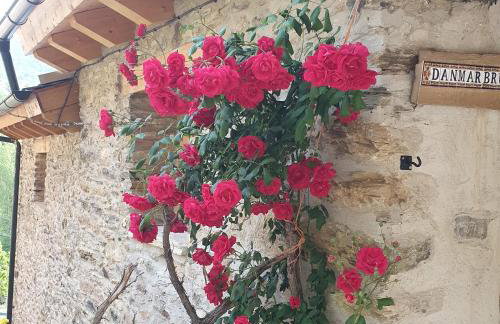 Espectacular Chalet de Montaña Pirineos, Burg - Foto 40