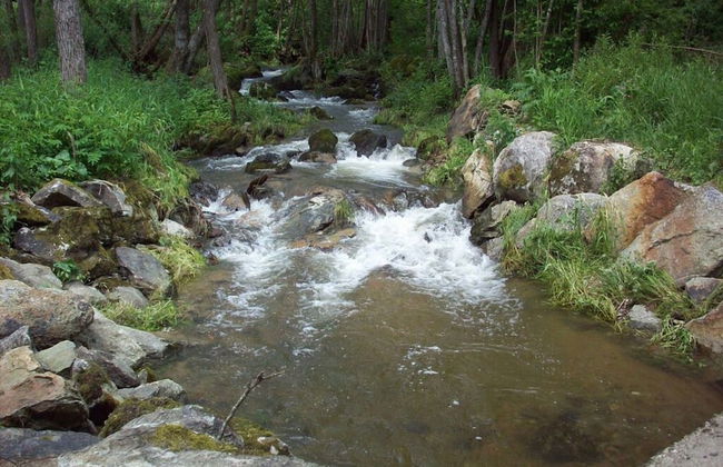 Holiday Home Sterl in Eppenschlag - Foto 9