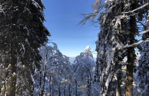 Schwarzwaldhimmel - Foto 28
