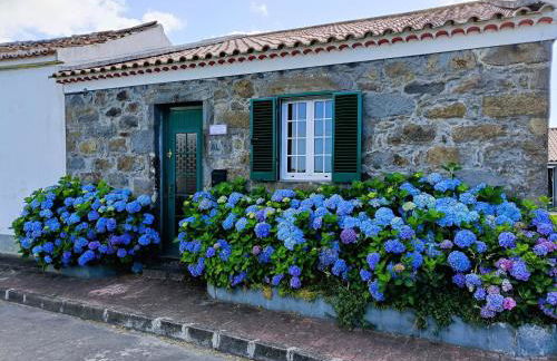 Paraíso Verde - Foto 13