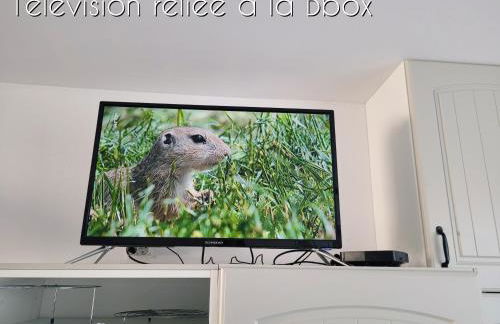 [Aucun supplément] L'Harmonie - 15 min de Beauval - Foto 14