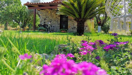 Patras stonehouse with large yard - Πέτρινο σπίτι με αυλή - Foto 5, Garden